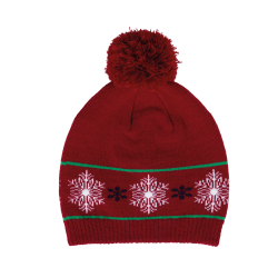 Bonnet motifs de Noël