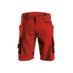 Bermuda de travail Pesco 63...